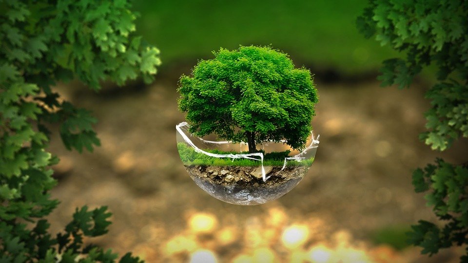 Puk Pipe Blog - Environment